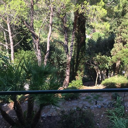Apartmán Casa Di Charme, Rio dellʼElba Exteriér fotografie